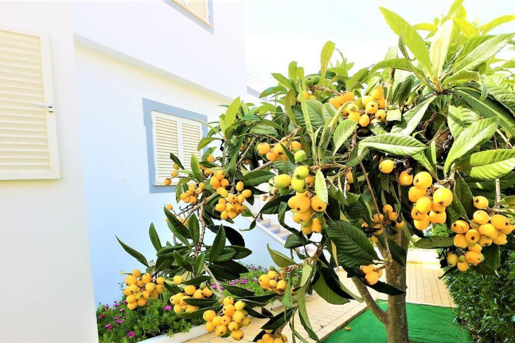 Vila Ventura Marina Albufeira Dış mekan fotoğraf